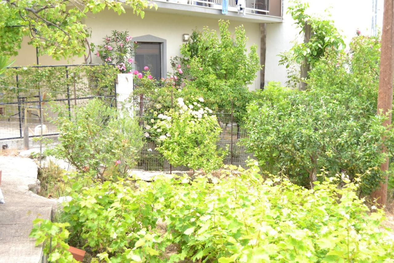 Lazatka Flat In Capital Chora Apartment Самотраки Екстериор снимка